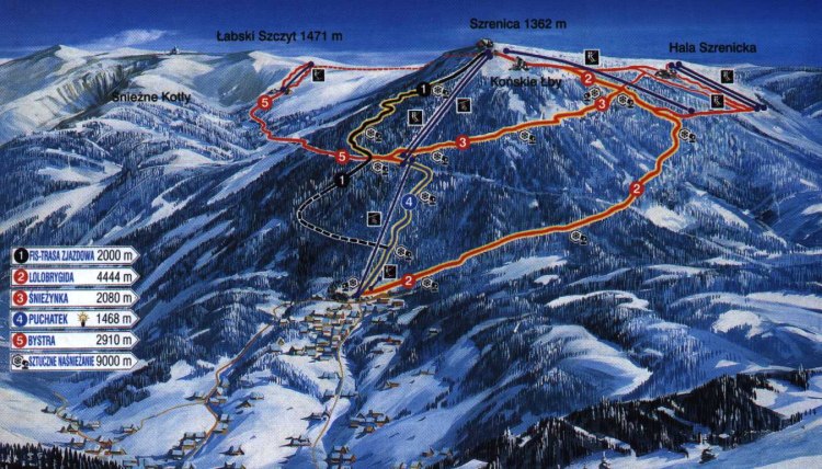 Click me for skiing information