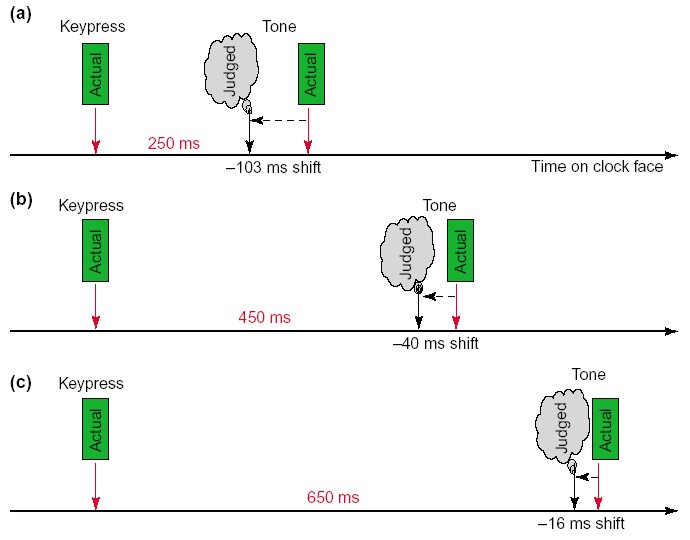 4 Causality and the perception of time